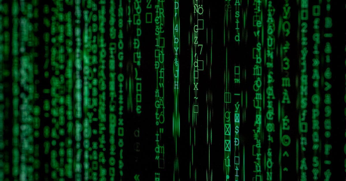 Cover image for Fast-Track Your Future: Why Coding Bootcamps are the Key to Success